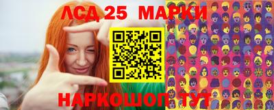 МДПВ Краснознаменск